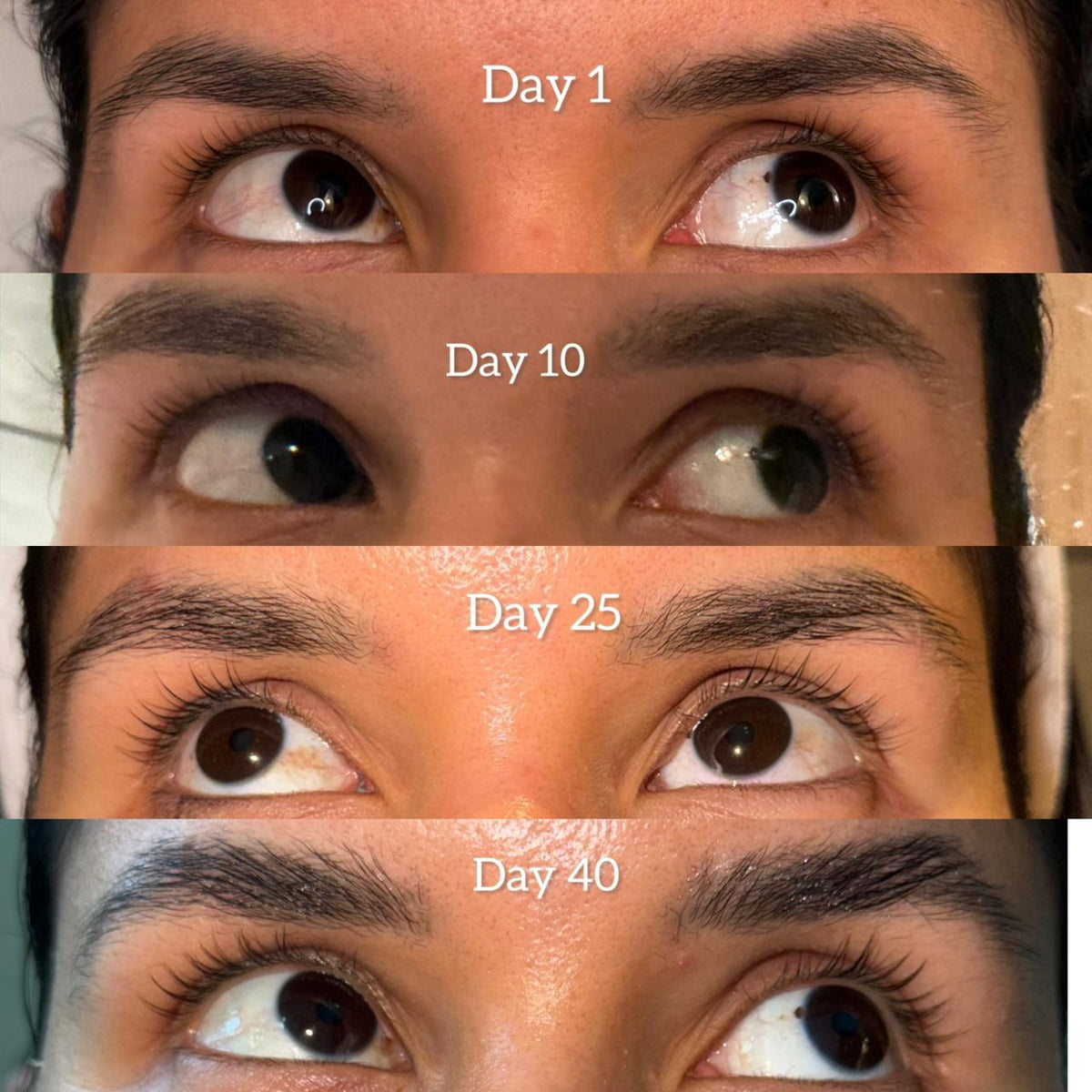 Peptide Lash Serum